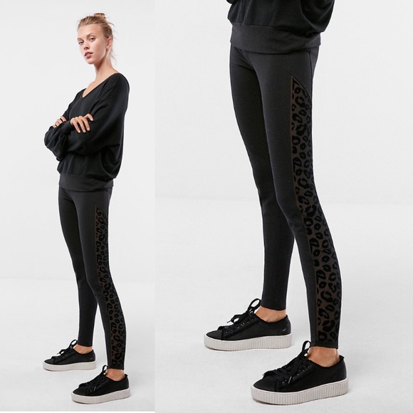 Express Pants - Sexy Stretch Leopard Mesh Panel Leggings